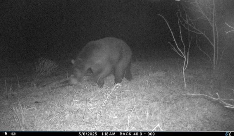 Name: download (4).jpg
Views: 1100
Size: 39.82 KB
ID: 27189 download (4).jpg